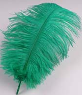 Strucctoll 55-60 cm - KELLY GREEN #60